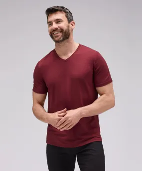 Men's Merino V-Neck T-Shirt